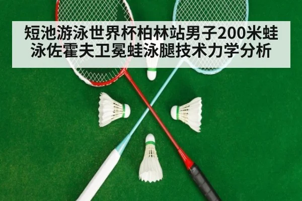 短池游泳世界杯柏林站男子200米蛙泳佐霍夫卫冕蛙泳腿技术力学分析