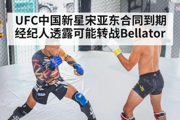 MMA fighter training